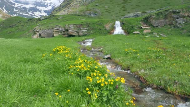 スローモーション 滝側面図 緑の牧草地の間を流れる高山の谷で新鮮な水をきれい — ストック動画