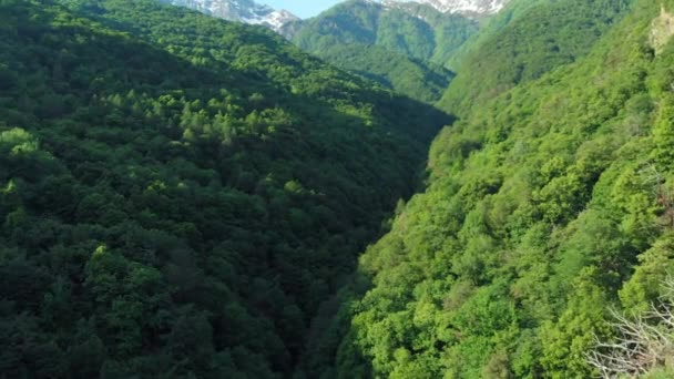 Hava Zümrüt Yeşil Vadi Uzak Ormanın Üzerinde Uçan Ilkbaharda Karlı — Stok video