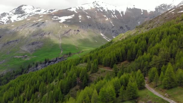 Antenowe Zwolnionym Tempie Latające Nad Alpejskie Doliny Malowniczym Wodospadem Snowcapped — Wideo stockowe