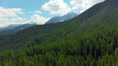 Hava: alp Vadisi, doğal orman karlı dağ tepe üzerinde İtalyan Alpleri üzerinde uçan 