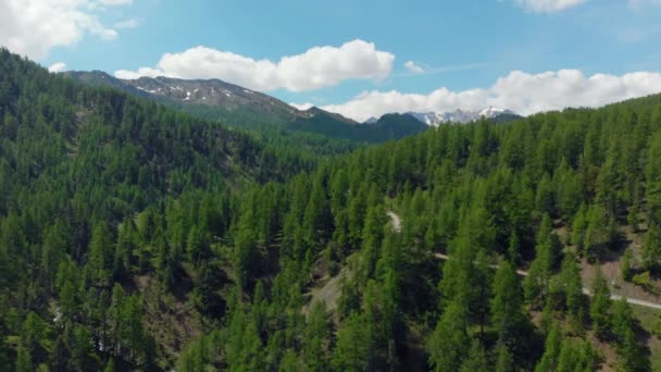 Aérea Volar Sobre Valle Alpino Bosque Pintoresco Cordillera Nevada Carretera — Vídeo de stock