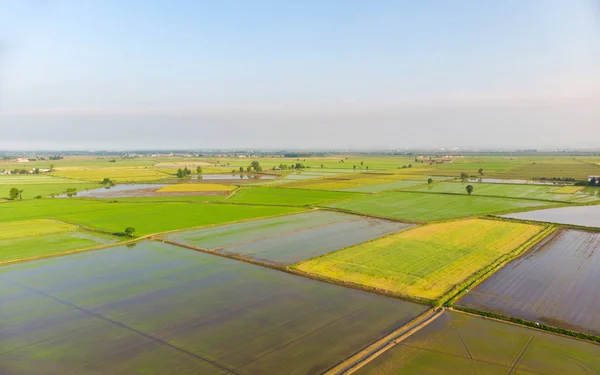 Aérea Arrozales Campos Cultivados Inundados Campo Rural Rural Italiano Ocupación — Foto de Stock