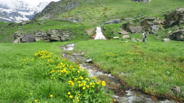 Kvinna Backpacker Vandring Idylliska Landskap Kristallklart Vattenfall Och Blommande Äng — Stockvideo