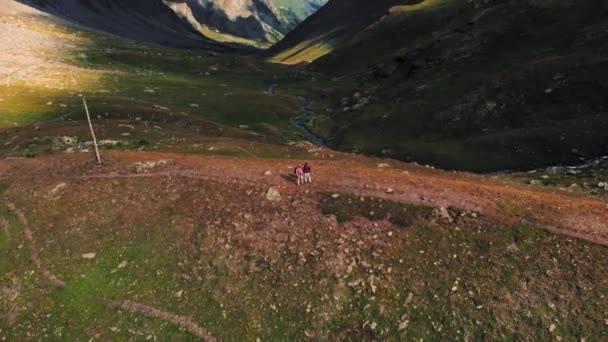 Aerial Couple Backpackers Hiking Alpine Valley Scenic Landscape Stream Flowing — Stock Video