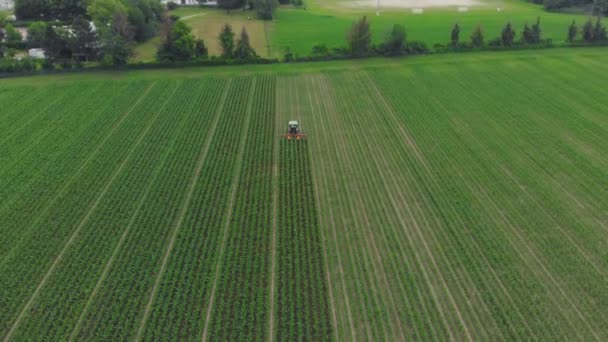 Aérea Tractor Trabajando Campos Cultivados Tierras Cultivo Ocupación Agrícola Vista — Vídeo de stock