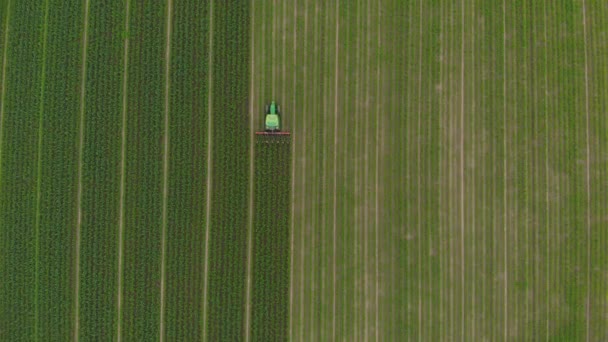高空作业 拖拉机在耕地 农业占领 俯视茂盛的绿色谷物作物 Sprintime 在意大利 — 图库视频影像