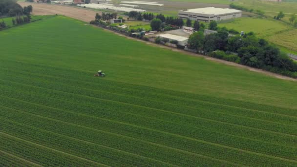 航空写真 トラクター耕作農地 農業職業 トップダウン ビュー緑豊かな緑の穀物のイタリアの Sprintime に取り組んで — ストック動画