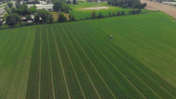 Aeronave Trator Que Trabalha Campos Cultivados Terras Agrícolas Ocupação Agrícola — Vídeo de Stock