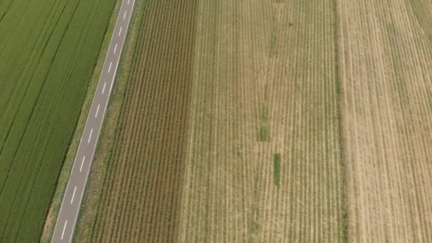 Aérea Tractor Que Trabaja Campos Cultivados Tierras Cultivo Ocupación Agrícola — Vídeo de stock