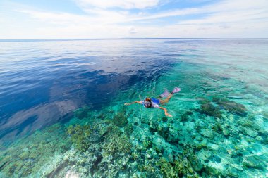 Mercan resifinde şnorkelle yüzen kadın tropik Karayip denizinde, turkuaz mavi suda. Endonezya Wakatobi takımadaları, deniz milli parkı, turist dalış merkezi