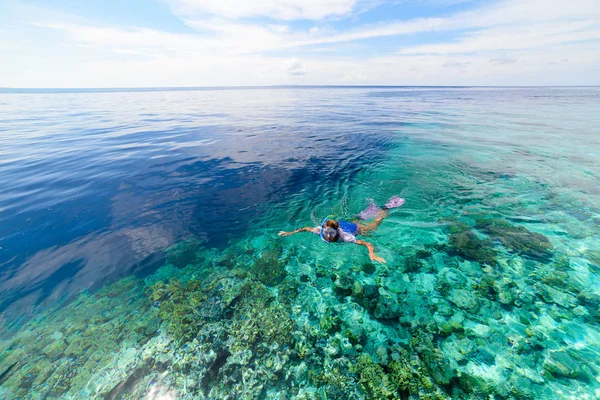 在珊瑚礁热带加勒比海中潜水的女人 蓝绿色的海水 印度尼西亚Wakatobi Archipelago Marine National Park Tourist Diving Travel — 图库照片