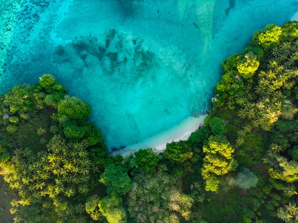 Letecká Shora Dolů Zobrazení Tropického Ráje Nedotčené Pláže Deštný Prales — Stock fotografie