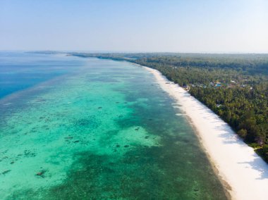Havadan görünümü tropikal plaj Adası Pasir Panjang denizde Karayip resif. Endonezya Moluccas adalar, Kei Adaları, Banda Denizi. En iyi seyahat hedef, şnorkel, Dalış en çarpıcı panorama.