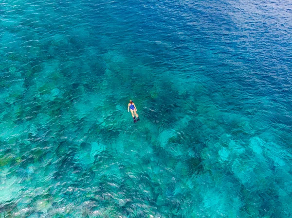 Flyg Uppifrån Och Ner Människor Snorkla Korallrev Tropiska Karibiska Havet — Stockfoto