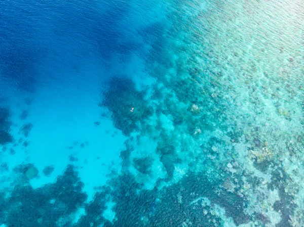 Gente Aérea Arriba Abajo Haciendo Snorkel Arrecife Coral Mar Tropical — Foto de Stock