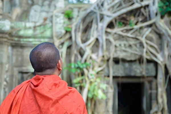 Moine Bouddhiste Regardant Majestueux Temple Prohm Dans Complexe Ruines Angkor — Photo