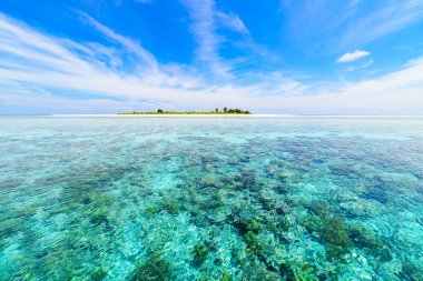 Mercan kayalığı tropikal Karayip Denizi, turkuaz mavi su. Endonezya Sulawesi Wakatobi Milli Parkı. En sevilen seyahat turizm, şnorkel dalış en iyi.