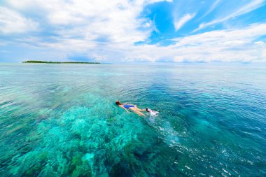 Mercan resifinde şnorkelle yüzen kadın tropik Karayip denizinde, turkuaz mavi suda. Endonezya Wakatobi takımadaları, deniz milli parkı, turist dalış merkezi