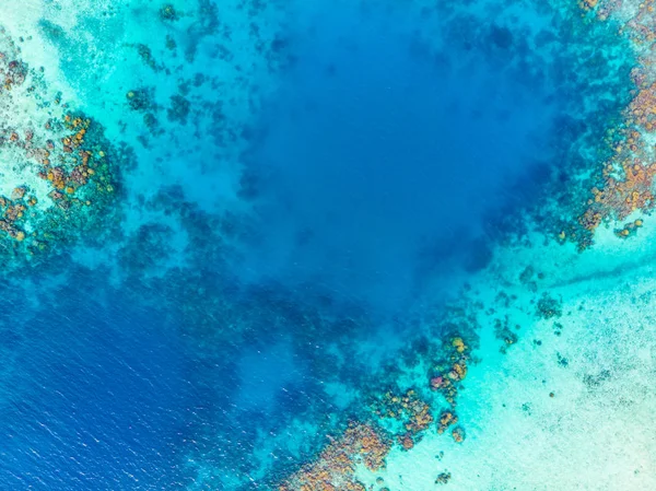 Arriba arriba abajo arrecife de coral mar tropical caribeño, agua azul turquesa. Indonesia Islas Banyak Sumatra, destino turístico de buceo . — Foto de Stock