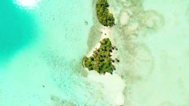 航空写真 砂漠の島熱帯ビーチ ターコイズ ブルーのカリブ海水サンゴ礁ココヤシの木の木の森の上を飛んでください インドネシア スマトラ島沖シムルエ島 シュノーケ リング ダイビング観光地 — ストック動画