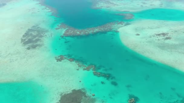 航空写真 砂漠の島熱帯ビーチ ターコイズ ブルーのカリブ海水サンゴ礁ココヤシの木の木の森の上を飛んでください インドネシア スマトラ島沖シムルエ島 シュノーケ リング ダイビング観光地 ネイティブ — ストック動画