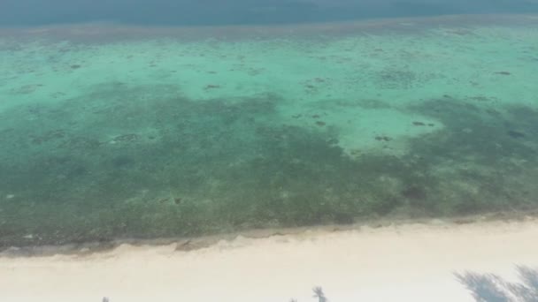砂漠のビーチ白いビーチ熱帯カリブ海ターコイズブルーの水を飛びます インドネシア圭諸島 モルッカ諸島 旅行先ダイビングシュノーケリング ネイティブ Cinelike ログカラープロファイル — ストック動画