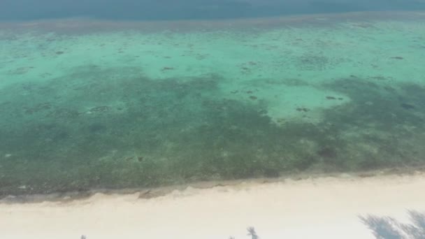 Aéreo Sobrevoando Praia Deserto Praia Branca Tropical Caribe Mar Azul — Vídeo de Stock