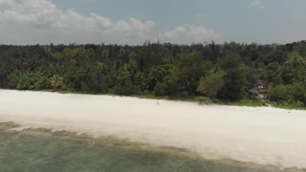 Antenn Flyger Över Öknen Stranden Vit Strand Tropiska Karibiska Havet — Stockvideo