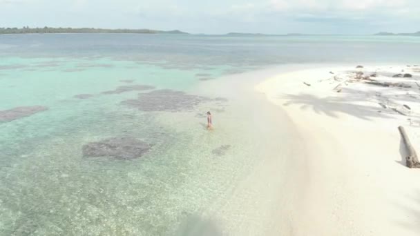 Aérea Mujer Haciendo Snorkel Arrecife Coral Mar Tropical Caribeño Agua — Vídeo de stock