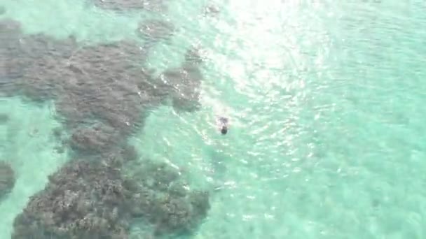 Antenne Vrouw Snorkelen Een Koraal Rif Tropische Caribische Zee Turquoise — Stockvideo