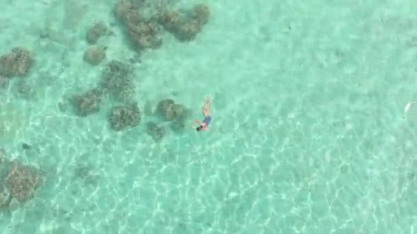 Aéreo Mulher Snorkeling Recife Coral Mar Caribenho Tropical Água Azul — Vídeo de Stock