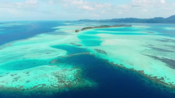 Aerea Sorvolando Barriera Corallina Tropicale Caraibica Mare Turchese Blu Acqua — Video Stock