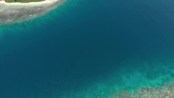 航空写真 サンゴ礁熱帯のカリブ海のターコイズの青い水の上を飛んでください インドネシア スマトラ島沖シムルエ島 トップ旅行観光目的地最高のダイビング スノーケリングします ネイティブ Cinelike カラー プロファイル — ストック動画