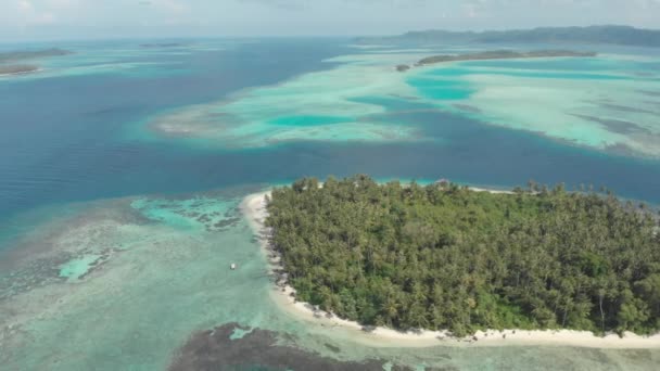 Aerea Sorvolando Barriera Corallina Tropicale Caraibica Mare Turchese Blu Acqua — Video Stock