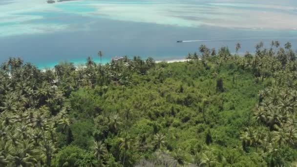 Anteni: ıssız adalar mercan kayalığı tropikal Karayip Denizi, turkuaz mavi su üzerinde uçan. Endonezya Sumatra Banyak Adaları. Hedef dalış snorkeling seyahat. Yerli cinelike D-günlük renk profili — Stok video