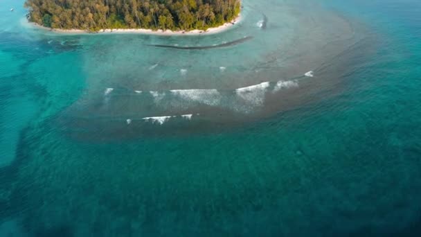 航空写真: 砂漠の島熱帯ビーチ カリブ海青緑色の水サンゴ礁の上を飛んでください。インドネシア スマトラ島沖シムルエ島。シュノーケ リング ダイビング観光地。ネイティブ cinelike D ログ カラー プロファイル. — ストック動画