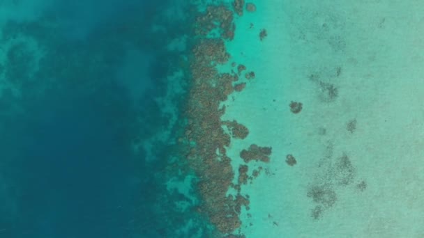 Воздушный: пролет над коралловым рифом тропической морской бирюзовой голубой водой Карибского моря. Индонезия Острова Суматра Баньяк. Лучшее место для путешествий, лучшее ныряние с маской и трубкой. Натуральный коричневый профиль цвета D-log — стоковое видео