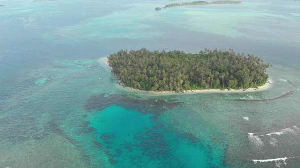 航空写真: 砂漠の島熱帯ビーチ カリブ海青緑色の水サンゴ礁の上を飛んでください。インドネシア スマトラ島沖シムルエ島。シュノーケ リング ダイビング観光地。ネイティブ cinelike D ログ カラー プロファイル. — ストック動画