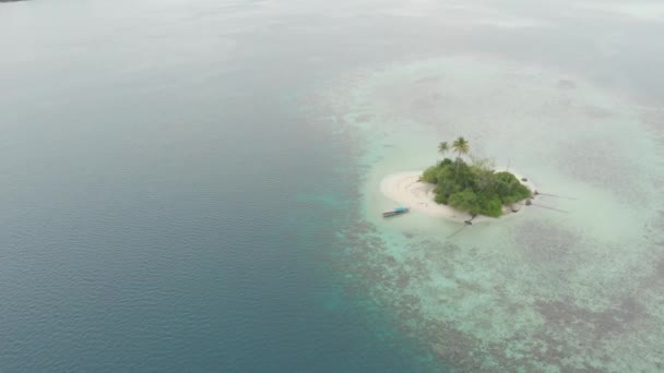 航空写真 砂漠の島熱帯ビーチ カリブ海青緑色の水サンゴ礁の上を飛んでください インドネシア スマトラ島沖シムルエ島 シュノーケ リング ダイビング観光地 ネイティブ Cinelike — ストック動画