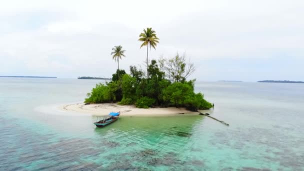 Antena Latające Nad Bezludnej Wyspie Tropikalnej Plaży Morza Karaibskiego Coral — Wideo stockowe