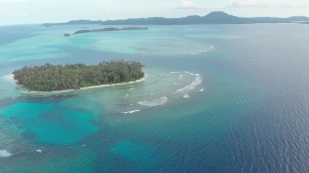 Aéreo Sobrevoando Recife Coral Tropical Caribe Mar Azul Turquesa Água — Vídeo de Stock