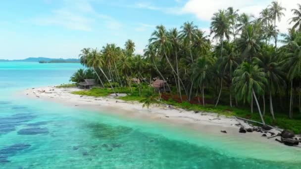 航空写真: サンゴ礁熱帯のカリブ海のターコイズの青い水の上を飛んでください。インドネシア スマトラ島沖シムルエ島。最高の旅行先、ダイビング シュノーケ リング ベスト — ストック動画