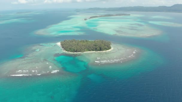 Aéreo Sobrevoando Ilha Tropical Praia Branca Caribe Mar Turquesa Recife — Vídeo de Stock