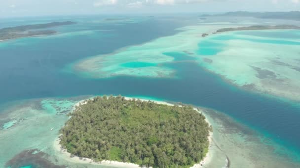 Aérea Volando Sobre Isla Tropical Blanca Playa Caribe Mar Turquesa — Vídeo de stock