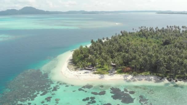 화이트 청록색 카리브 산호초를 인도네시아 수마트라 스노클링 다이빙입니다 Cinelike — 비디오