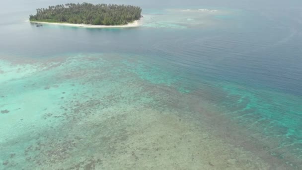 航空写真 サンゴ礁熱帯の島カリブ海のターコイズ ブルーの水の上を飛んでください インドネシア スマトラ島沖シムルエ島 旅行先のダイビング シュノーケ リングします ネイティブ Cinelike — ストック動画