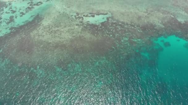 航空写真 熱帯の島の白いビーチ カリブ海青緑色の水サンゴ礁の上を飛んでください インドネシア スマトラ島沖シムルエ島 シュノーケ リング ダイビング観光地 ネイティブ Cinelike — ストック動画
