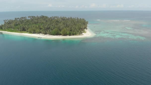 Aéreo Sobrevoando Ilha Tropical Praia Branca Caribe Mar Turquesa Recife — Vídeo de Stock