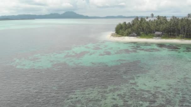 航空写真 熱帯の島の白いビーチ カリブ海青緑色の水サンゴ礁の上を飛んでください インドネシア スマトラ島沖シムルエ島 シュノーケ リング ダイビング観光地 ネイティブ Cinelike — ストック動画