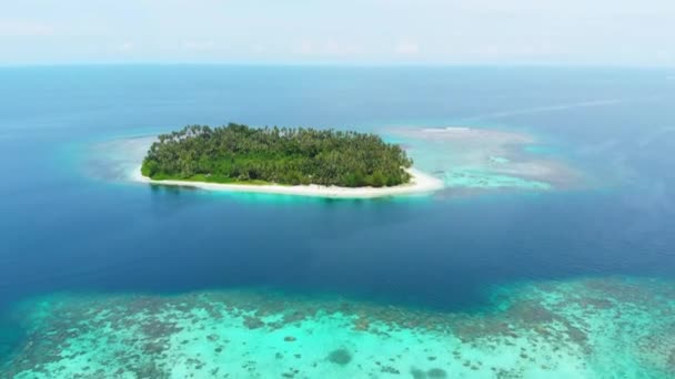 航空写真 サンゴ礁熱帯の島カリブ海のターコイズ ブルーの水の上を飛んでください インドネシア スマトラ島沖シムルエ島 ダイビング シュノーケ リング旅行先 — ストック動画